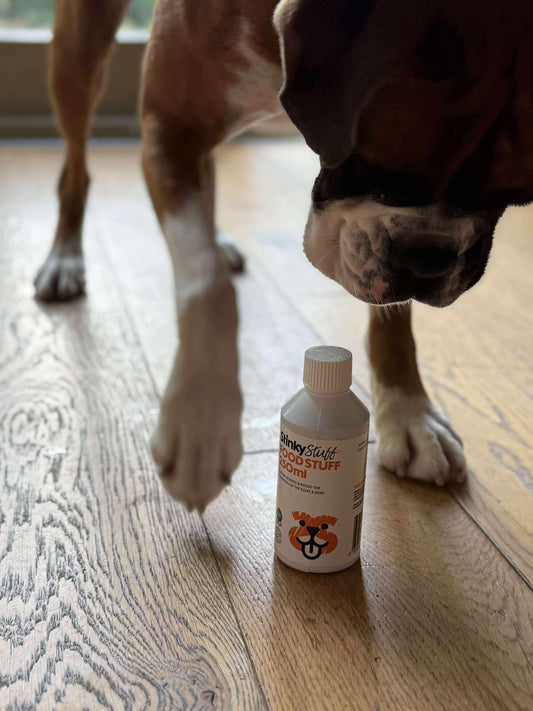 boxer dog smelling a bottle of Food Stuff by Stinky Stuff
