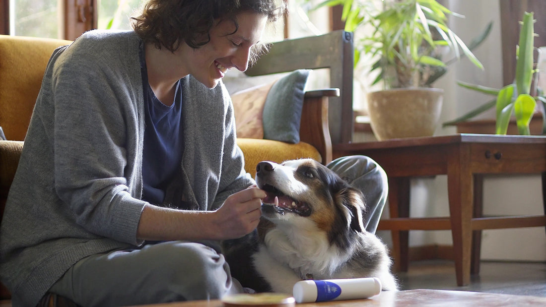10 Essential Tips for Choosing the Right Dog Tooth Paste