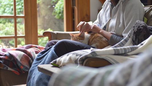 10 Best Hairball Remedies for Cats: Natural Solutions You Need