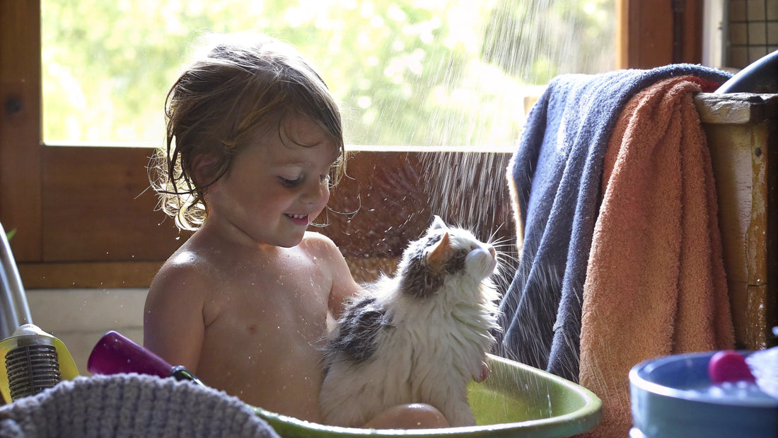 9 Best Kitten Flea Shampoos for Safe and Effective Care