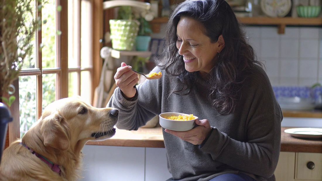 Why Turmeric is Good for Dogs: Health Benefits Explained