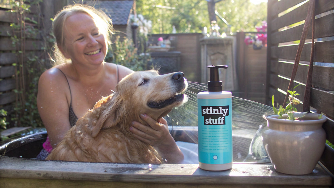 8 Best Dog Flea and Tick Shampoos for Natural Protection