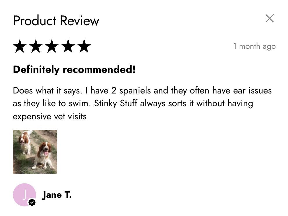 Ear Stuff ā Totally natural ear drops for dogs