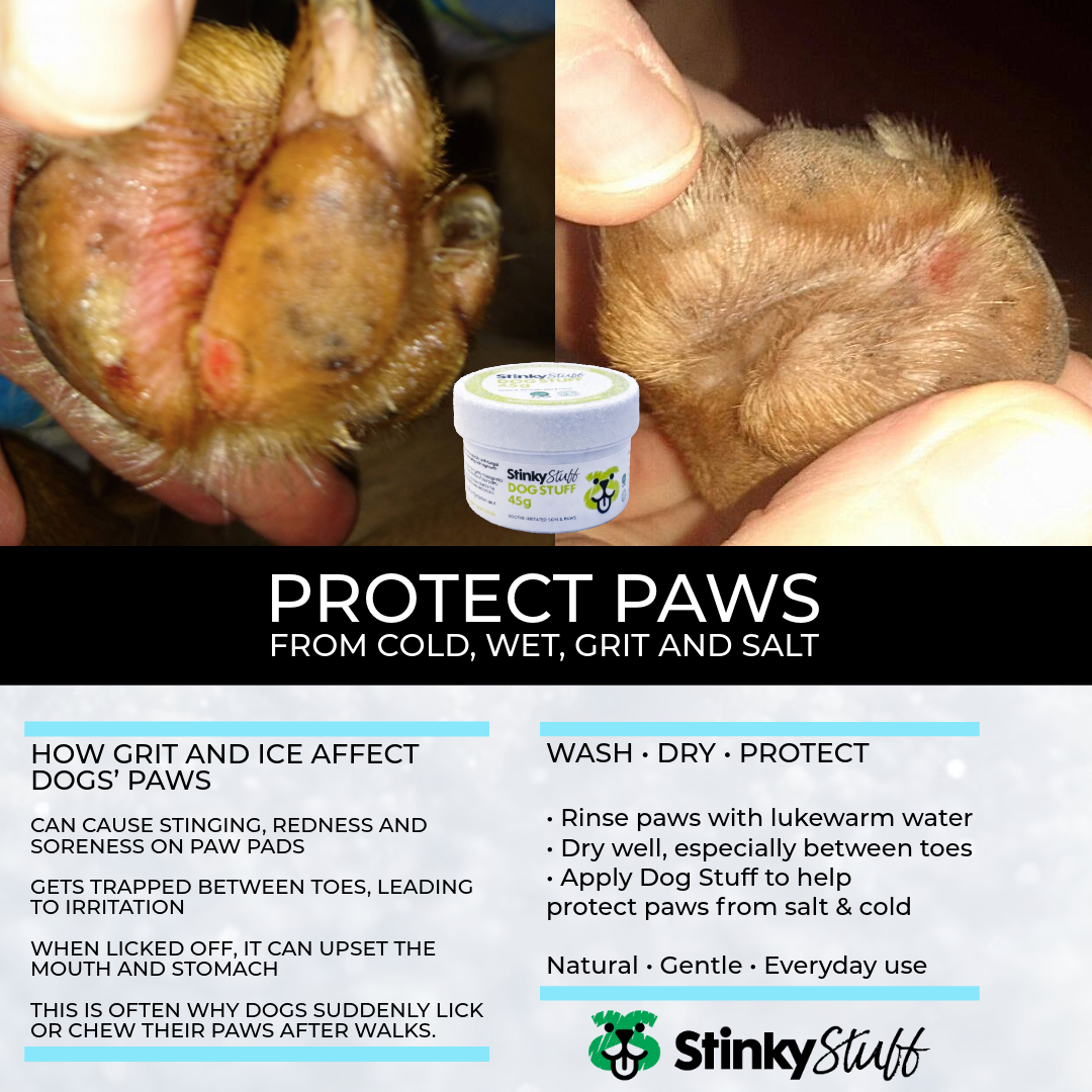 Dog Stuff – Natural Dog Balm for Dry, Irritated Skin