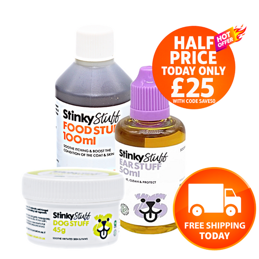 đ¶ Say Goodbye to the Scratch!