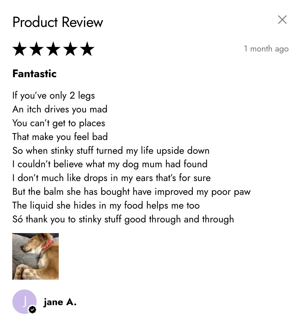 Product review for the itchy dog relief bundle