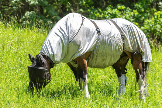 Sweet Itch in Horses: What It Is, What Causes It and How to Help