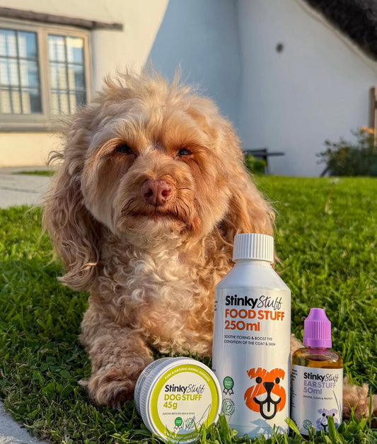 Dog with Stinky Stuff Products