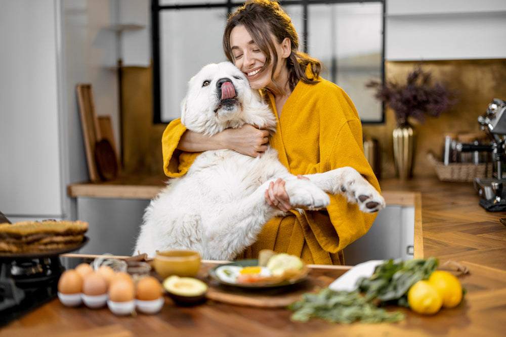 Can Dogs Eat Bacon, Black Pudding and Baked Beans? A Brunch Lover's Guide