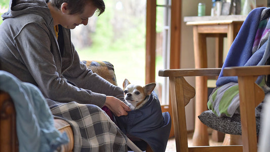 Do Dogs Need Coats? Understanding Their Purpose and Types