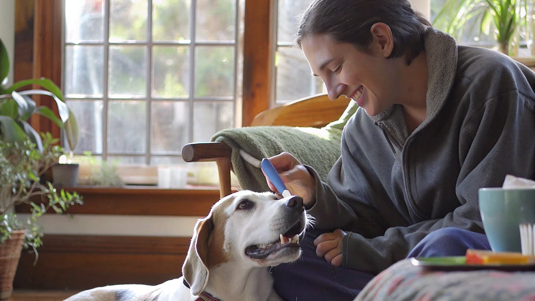 4 Steps to Choose the Right Dog Toothbrush and Toothpaste