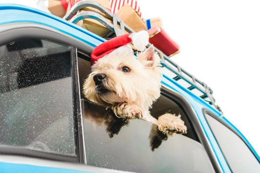 🎄 Holiday Packing Checklist for Pets: Stress-Free Christmas Travel Tips - Stinky Stuff