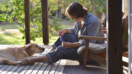 10 Effective Mosquito Repellent for Dogs You Can Trust