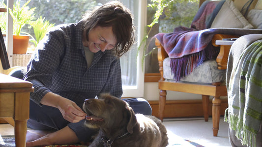 Home Flea Treatment for Dogs: Effective Remedies and Prevention