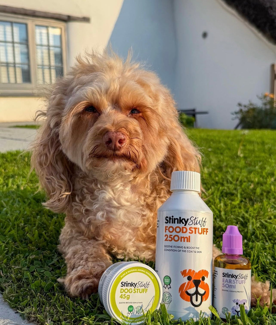 Natural Dog Skin Care: Relieve Itching, Allergies & Yeast with Dog Stuff & Food Stuff - Stinky Stuff