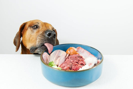 Raw Feeding Dogs: The Honest Pros and Cons - Stinky Stuff