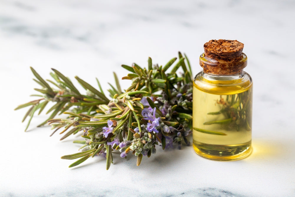 Hair Growth and Rosemary Oil: How to Use, Benefits and Side Effects