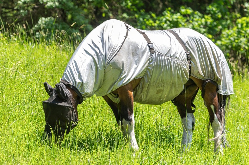 Sweet Itch in Horses: What It Is, What Causes It and How to Help - Stinky Stuff