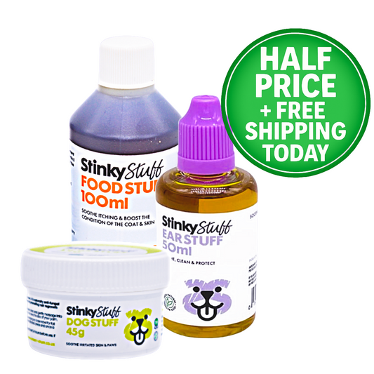 🐶 Say Goodbye to the Scratch! - FREE SHIPPING TODAY