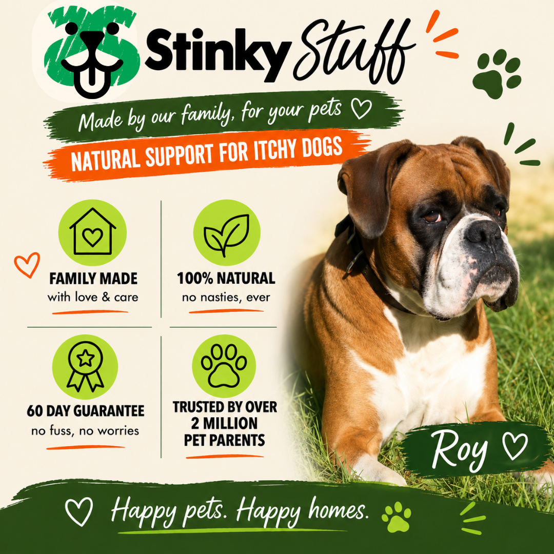 Itchy Dog Relief Bundle – Soothe itching and irritation