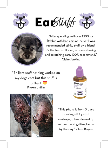 Advertisement for 'Ear Stuff' with customer reviews and product image on a white background