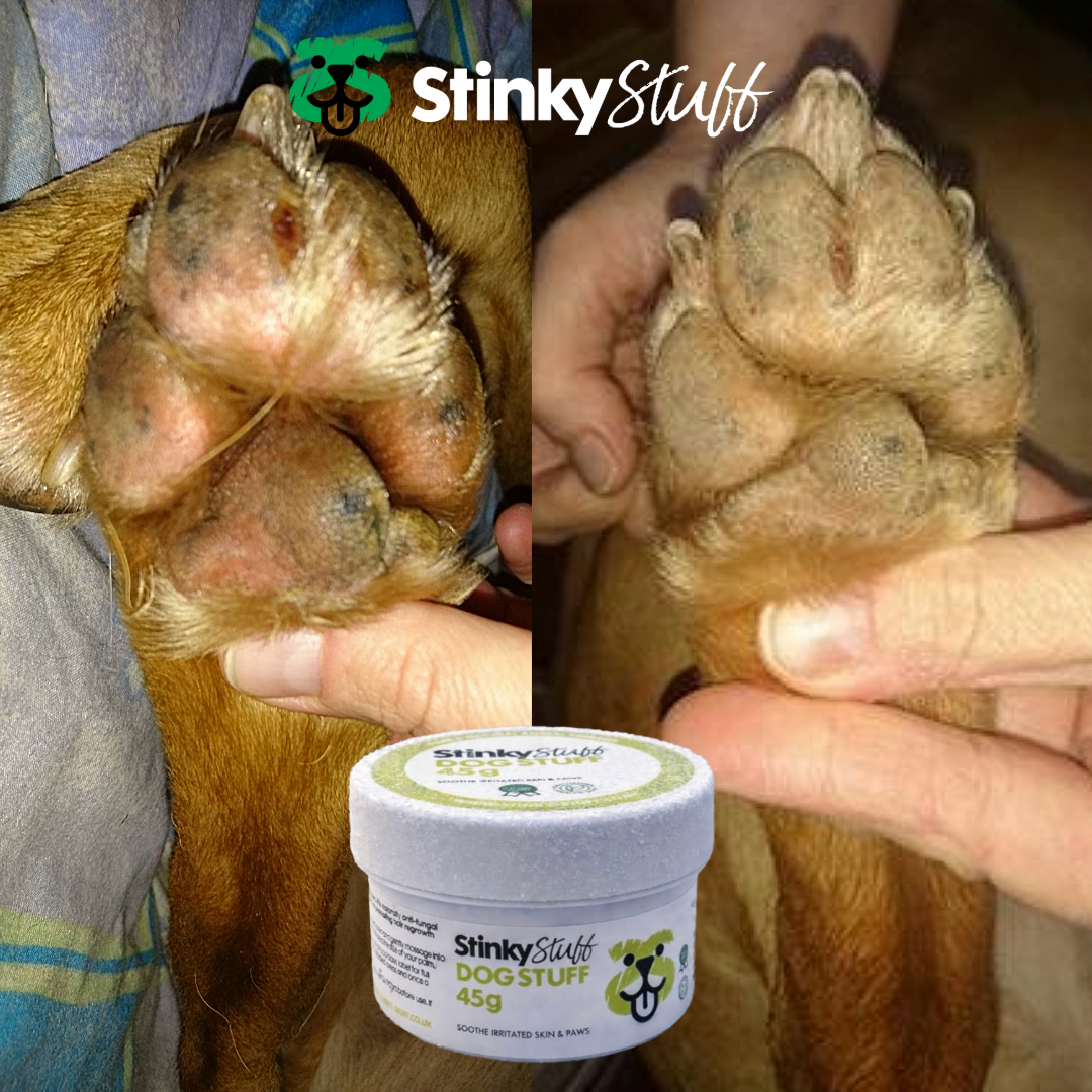 Dog Stuff – Natural Dog Balm for Dry, Irritated Skin