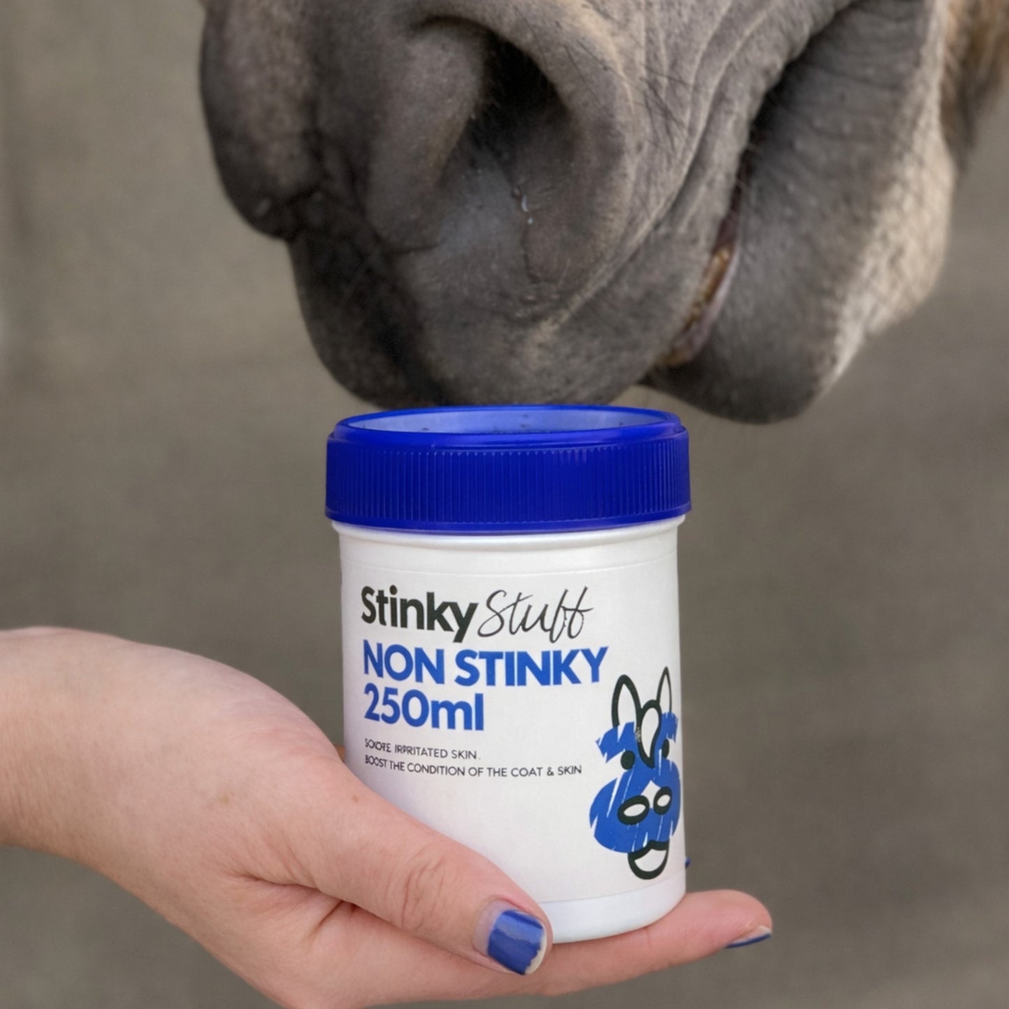 Non Stinky Buy One Get One Free! + Free Shipping