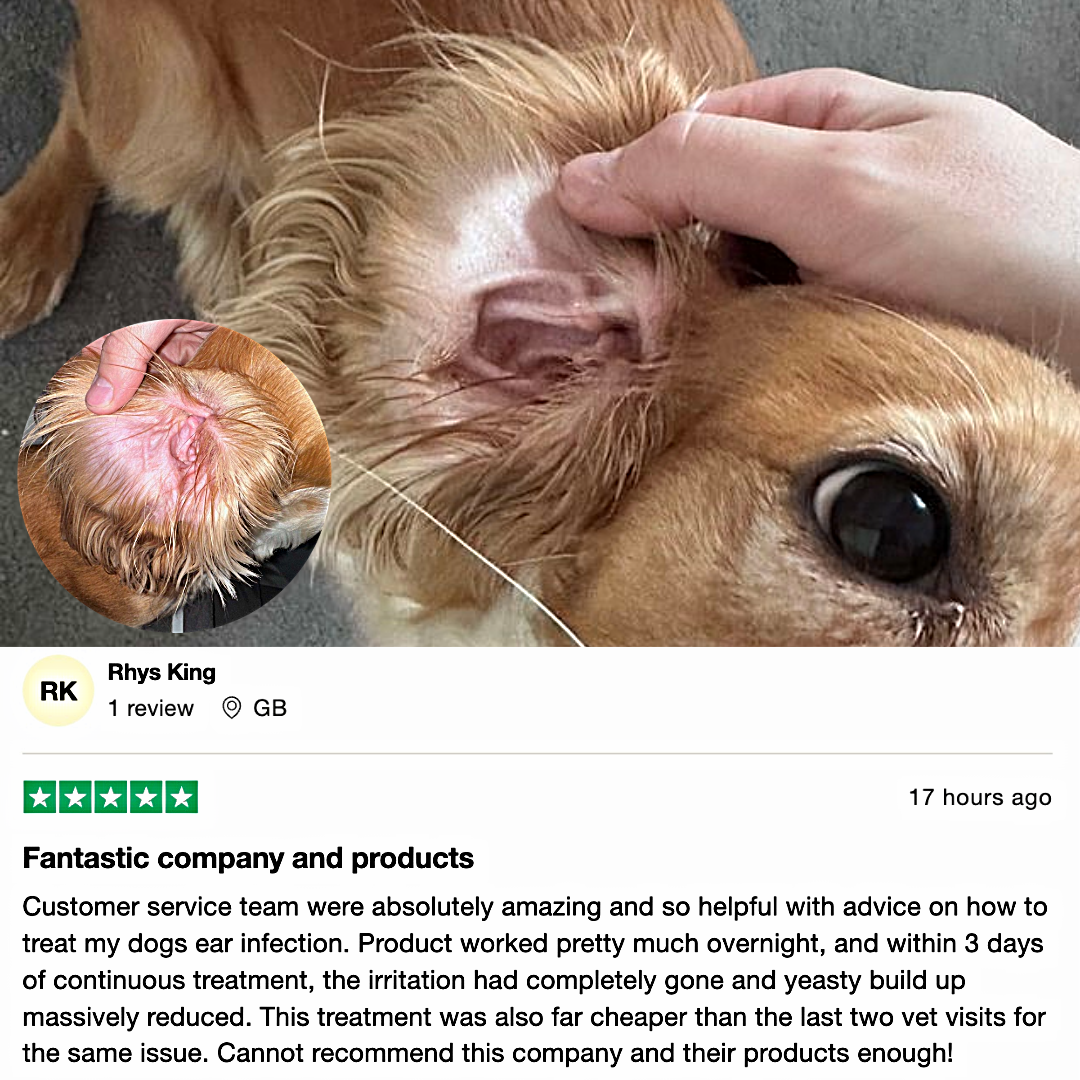 Stinky Stuff Itchy Dog Duo – Natural Ear and Skin Relief for Dogs