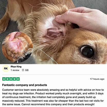 Stinky Stuff Itchy Dog Duo – Natural Ear and Skin Relief for Dogs