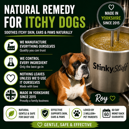 Itchy Dog Relief Bundle – Soothe itching and irritation