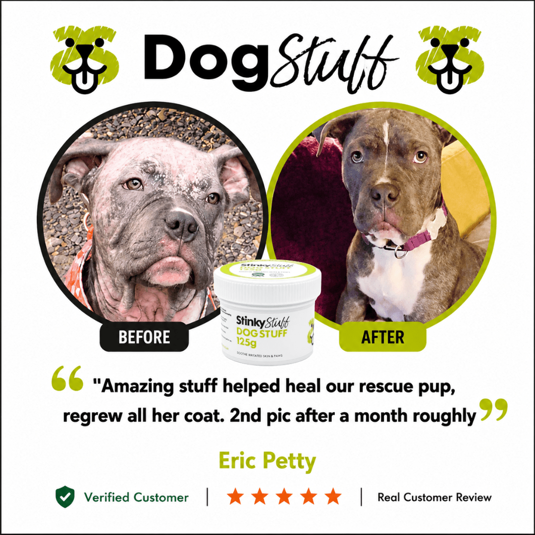 Dog Stuff – Natural Dog Balm for Itchy, Dry & Sensitive Skin - Stinky Stuff
