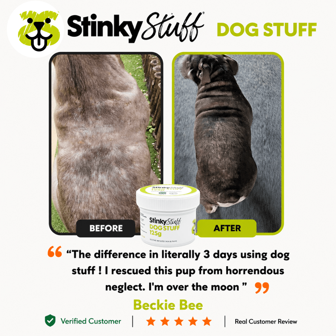 Dog Stuff – Natural Dog Balm for Itchy, Dry & Sensitive Skin - Stinky Stuff