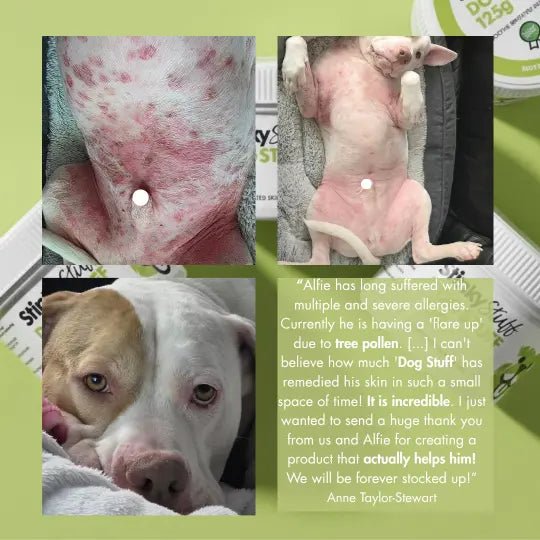 Dog Stuff – Natural Dog Balm for Itchy, Dry & Sensitive Skin - Stinky Stuff