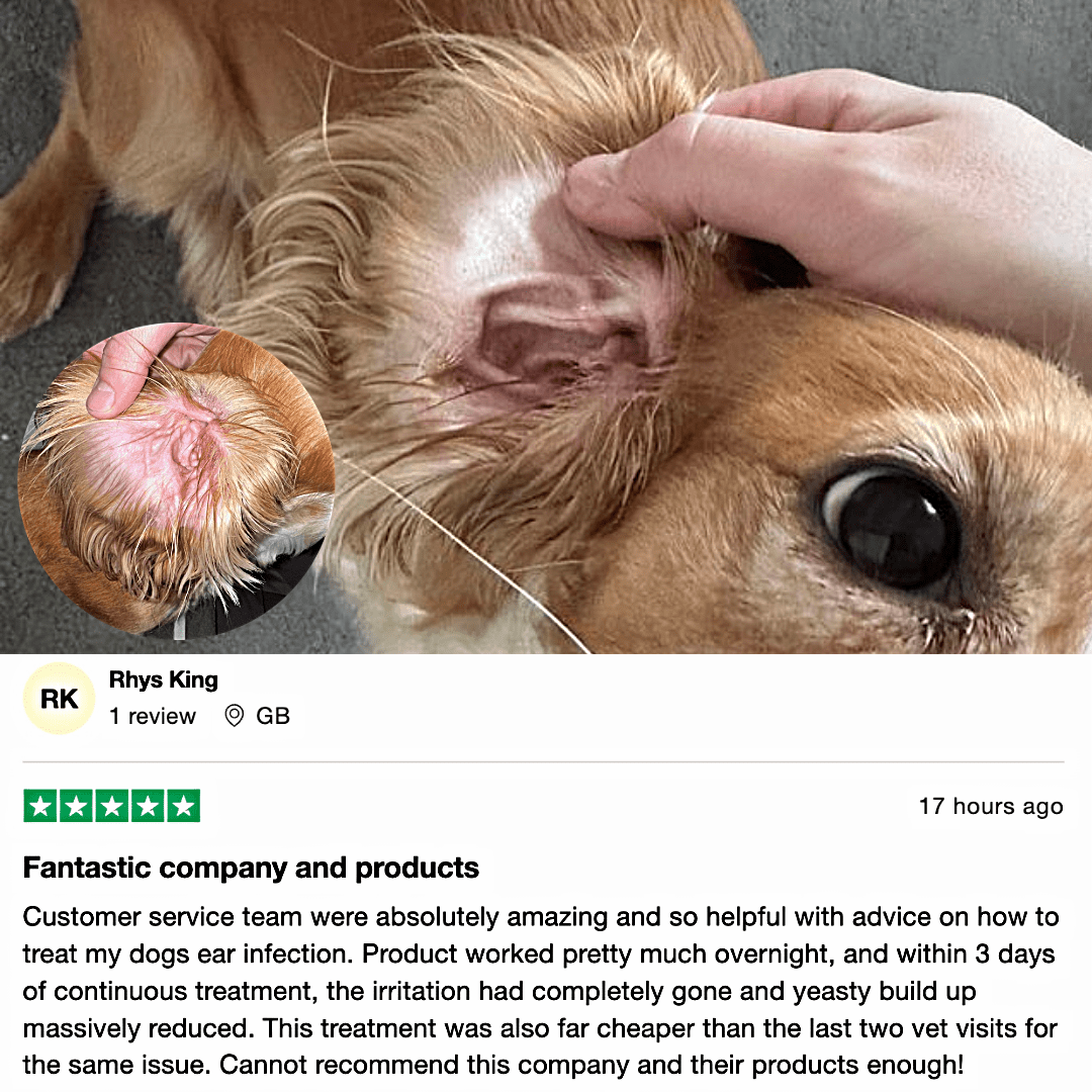 Itchy Dog Relief Bundle – Soothe itching and irritation - Stinky Stuff