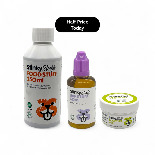 Itchy Dog Relief Bundle