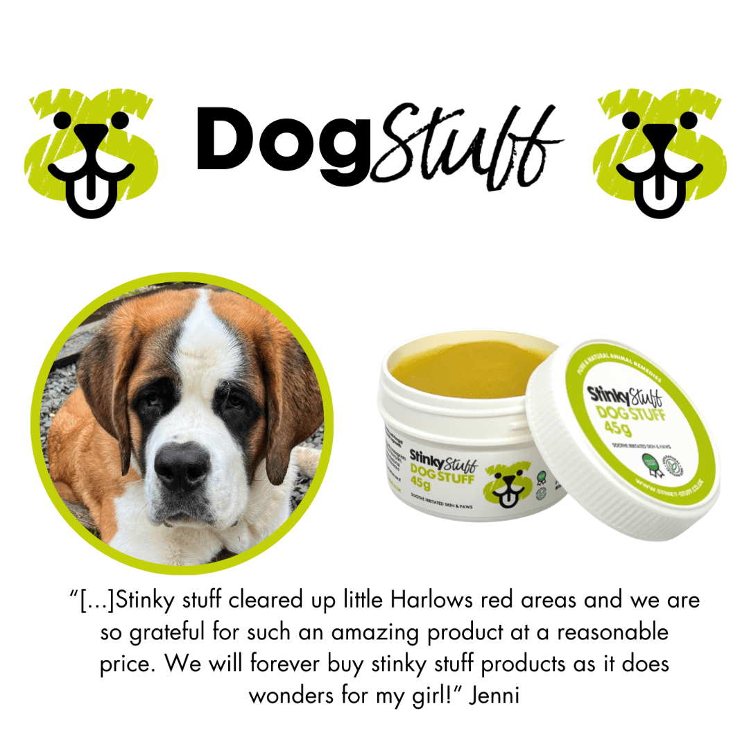 Large Dog Stuff 400g - Topical Balm for Itchy Skin & Hot Spots Relief - Stinky Stuff