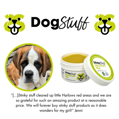 Large Dog Stuff 400g - Topical Balm for Itchy Skin & Hot Spots Relief - Stinky Stuff