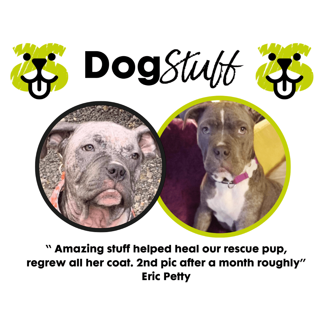 Large Dog Stuff 400g - Topical Balm for Itchy Skin & Hot Spots Relief - Stinky Stuff