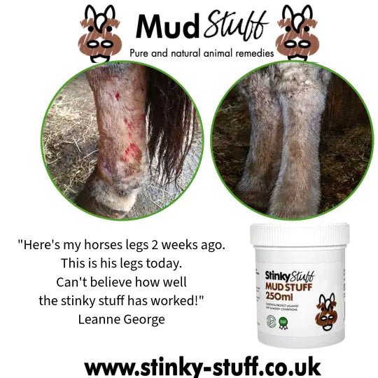 Mud Stuff 250ml - Stinky Stuff