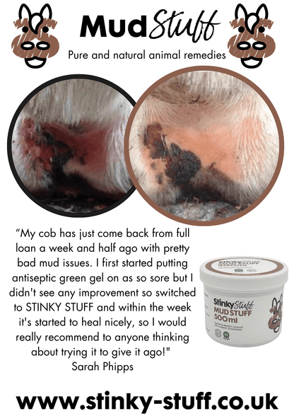 Mud Stuff | Natural Cold Weather Protection for Horses | Barrier Balm for Horses Legs - Stinky Stuff