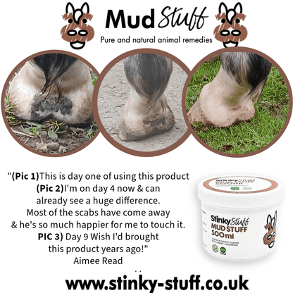 Mud Stuff | Natural Cold Weather Protection for Horses | Barrier Balm for Horses Legs - Stinky Stuff