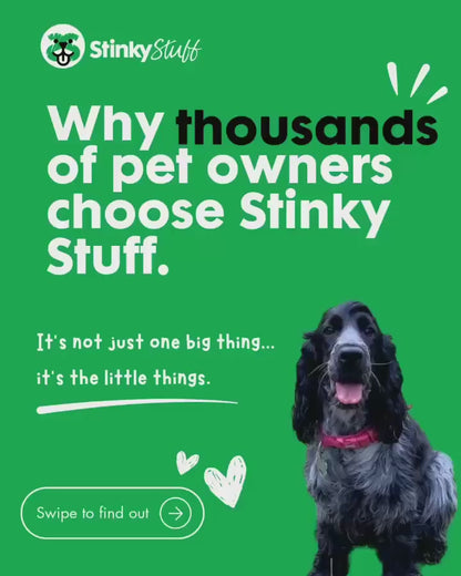 Dog Stuff & Shampoo for Itchy Skin