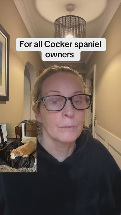 Stinky Stuff Itchy Dog Duo – Natural Ear and Skin Relief for Dogs